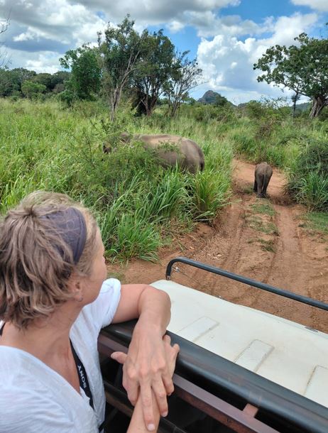 Minneriya National Park Ticket Price