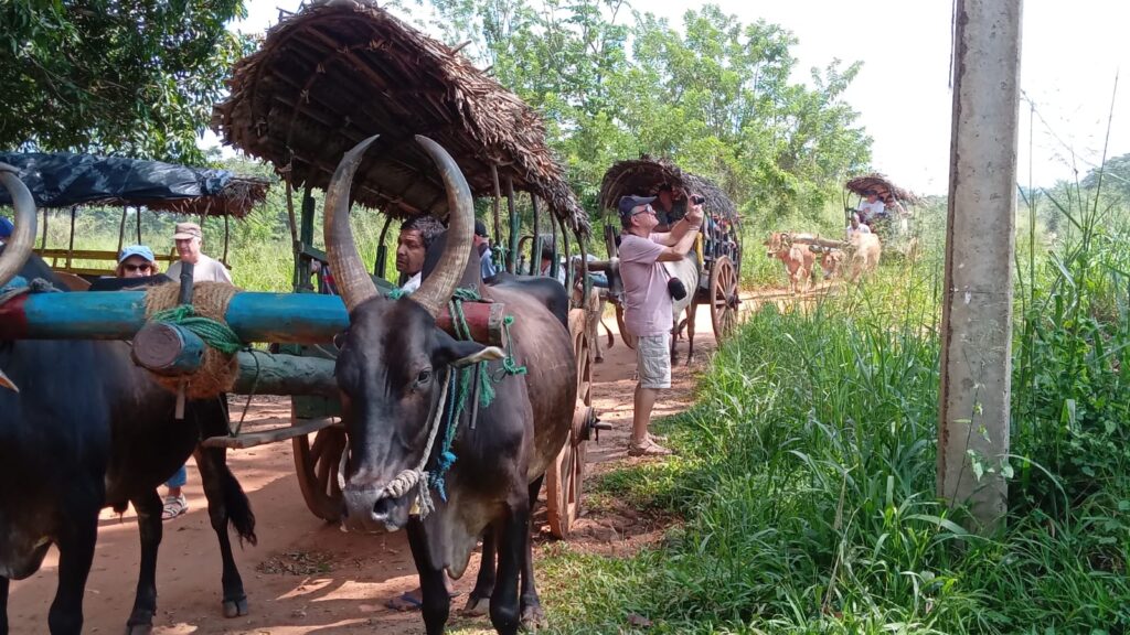 Hiriwadunna Village Safari